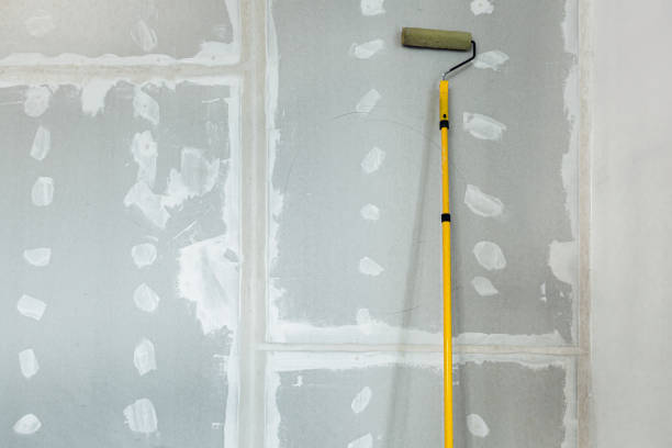 Best Drywall Sanding and Smoothing  in Bunkie, LA